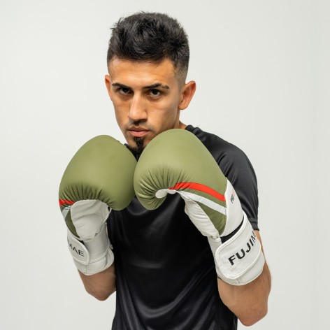 Gants Boxe ProSeries 2.0 Cuir