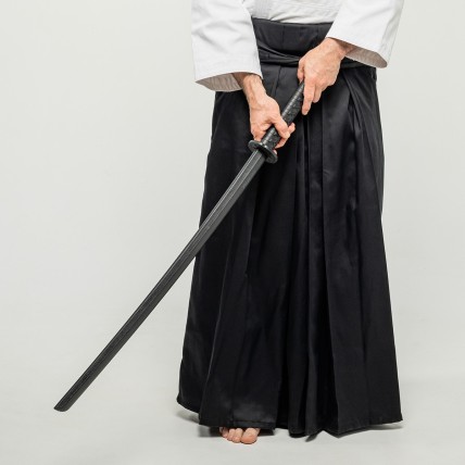 Bokken PP Training