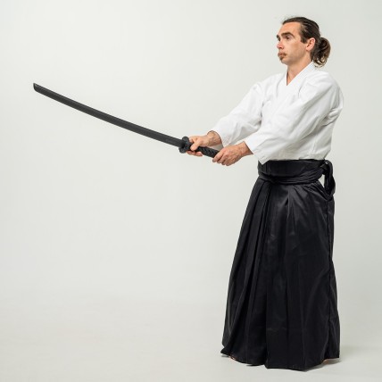 Bokken PP Training