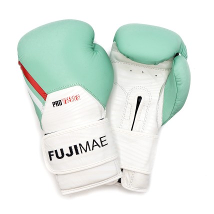 ProSeries Leather Boxing Gloves 2.0