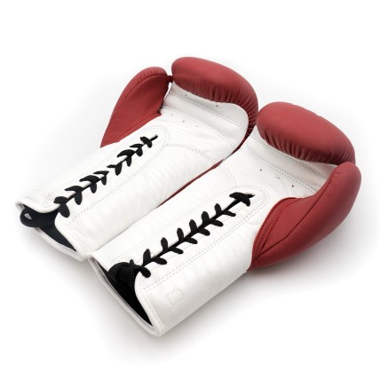 ProSeries 2.0 Laced Leather Boxing Gloves