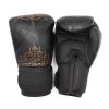 SakYant II Leather Boxing Gloves