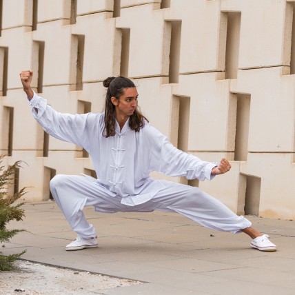 Tenue Tai Chi Training