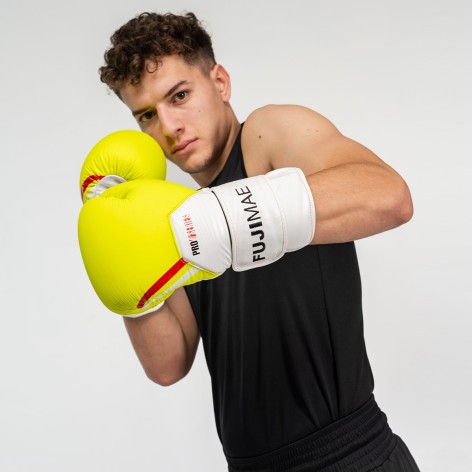 Gants Boxe ProSeries 2.0 Cuir