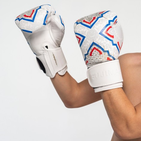 Gants Boxe SakYant II Cuir