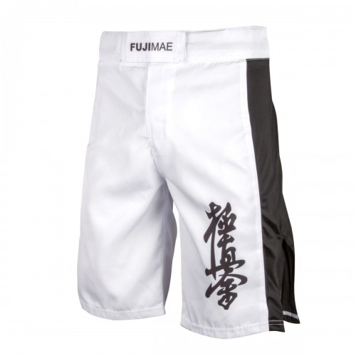 Kyokushin gi