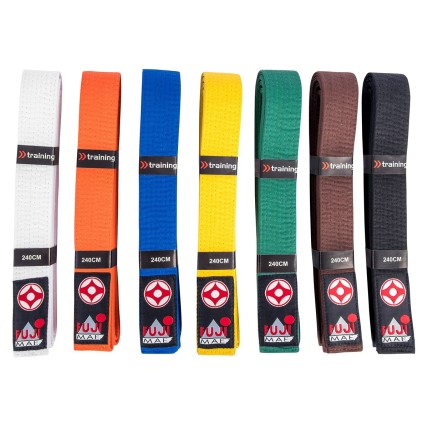 Ceinture Arts Martiaux