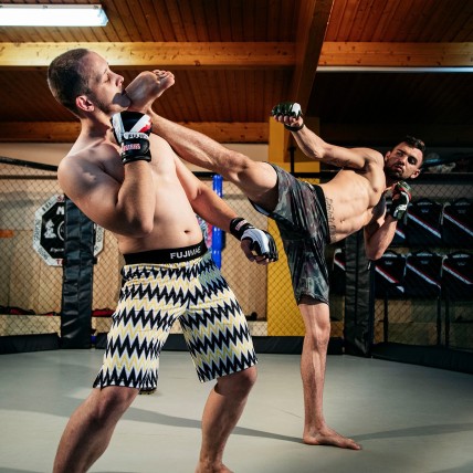 ProWear Lite MMA Shorts CR