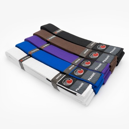 BJJ Belt