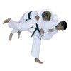 Basic Judo Gi