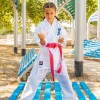Basic Kyokushin Karate Gi