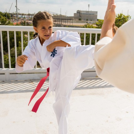 Cinturón Artes Marciales Styles