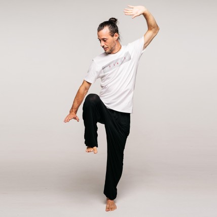 Modal Tai Chi Pants