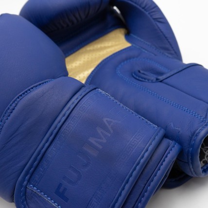 Gants Boxe Advantage Cuir 2 QS