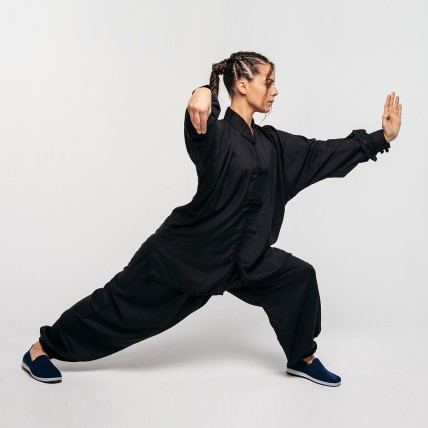 Tenue Tai Chi Training