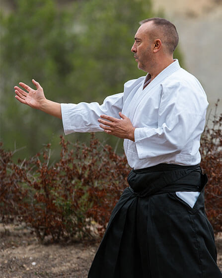 Aikido